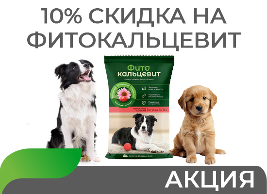 Акция июля: скидка на Фитокальцевит 