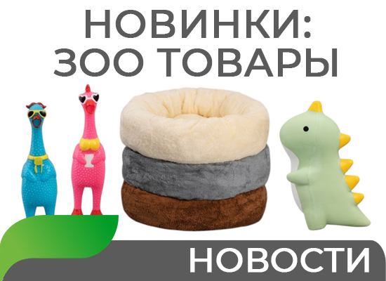 Новинки:  ЗОО товары