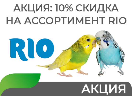 Скидка на ассортимент РИО в октябре