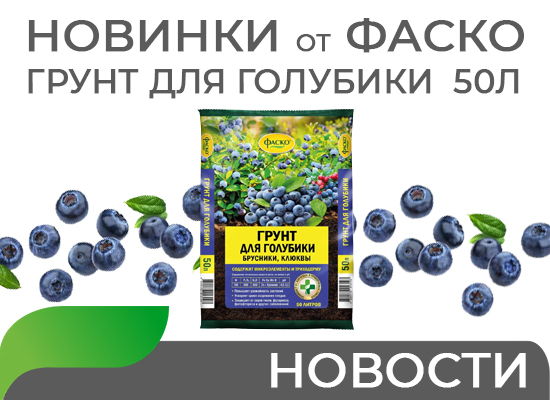ВЫБОР В ПОЛЬЗУ ГРУНТА ДЛЯ ГОЛУБИКИ ФАСКО