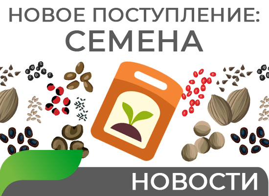 Новое поступление семян 
