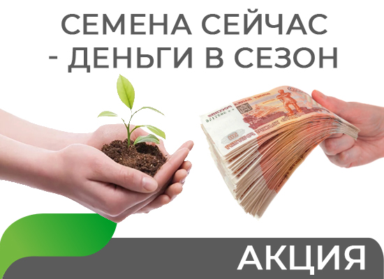 Акция: Семена сейчас - деньги в сезон 2027