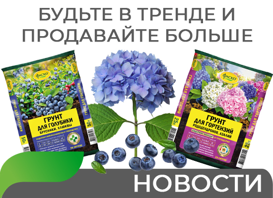 Будьте в тренде и продавайте больше!