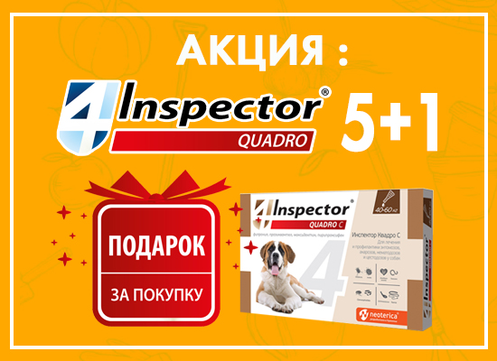 Inspector: 5+1