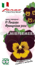 Виола Пандора Французская роза 5шт Дв 13см (Гавриш) Фарао