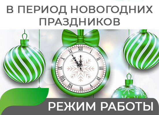 Режим работы в период Новогодних праздников 2024-2025