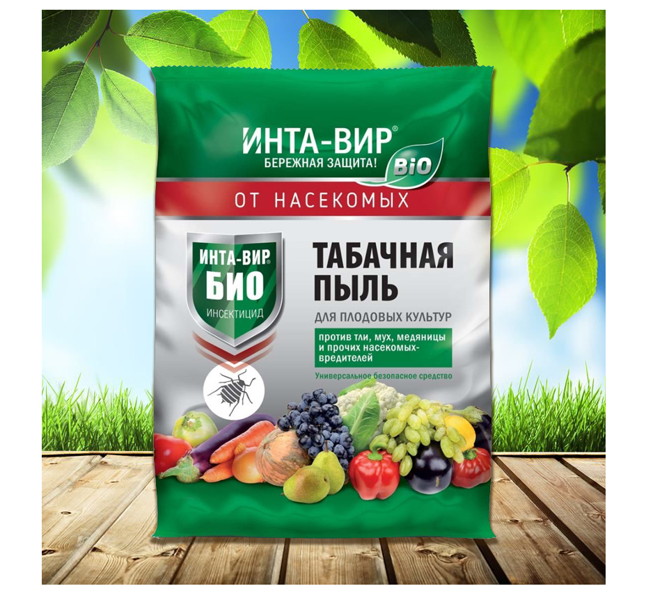интавир ил 2.jpg