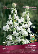 Пролеска (Сцилла) сибирская Вайт 10шт (цветки белые, 7/8 h25см)