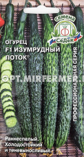Огурец Изумрудный поток F1 0,2г Парт Ранн (Седек) Огурец Изумрудный поток F1 0,2г Парт Ранн (Седек)