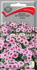 Флокс Аллюр друммонда 0,1г Одн 200см (Поиск)