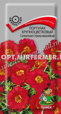 Портулак Солнечная страна Вишневый крупноцветковый 0,1г Одн 10см (Поиск)