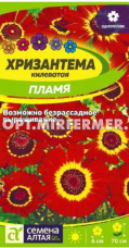 Хризантема Пламя килеватая 0,1г Одн смесь 70см (Сем Алт)
