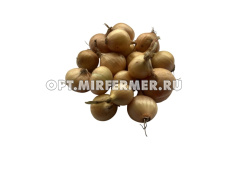 Лук-севок Штуттгартер Ризен 9/21 10кг +/-5% Россия