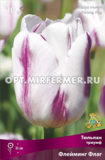 Тюльпан Триумф Флейминг Флаг 10шт ( белый с густыми сиреневыми штрихами, 11/12, h35см)