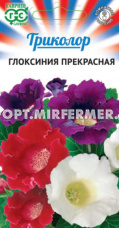 Глоксиния Прекрасная 9шт Комн смесь (Гавриш) Триколор