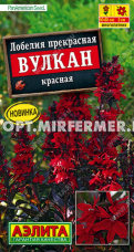 Лобелия Вулкан красная 5шт Мн 80см (Аэлита)