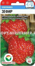 Земляника (клубника) Зефир крупноплодная 10шт Ранн (Сиб сад)