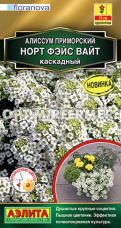 Алиссум Норт фэйс вайт каскадный 12шт Одн 15см АМПЕЛЬ (Аэлита)