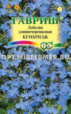 Лобелия Кембридж 0,01г Одн (Гавриш)