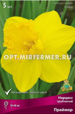 Нарцисс Трубчатый Праймор 5шт (желтый, 12/14, h40см)