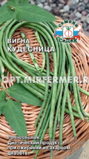 Вигна Кудесница 3г Ранн (Седек)