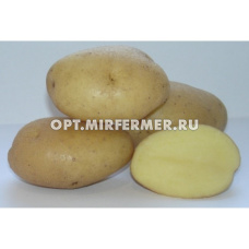 Картофель Вымпел Суперэлита Ср 3кг/30 +-10%