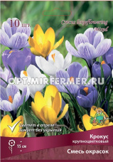 Крокус Крупноцветковый смесь 10шт ( белый, голубой, желтый, 7/8, h15см)