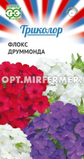 Флокс Триколор друммонда смесь 0,15г Одн 25см (Гавриш)