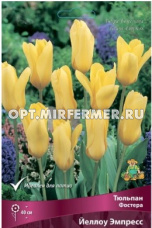 Тюльпан Фостера Йеллоу Эмпресс 10шт ( желтый, 10/11, h40см)