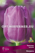 Тюльпан Триумф Негрита 10шт ( лилово-фиолетовый, 11/12, h50см)