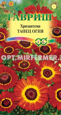Хризантема Танец огня 0,5г Одн 70см (Гавриш)