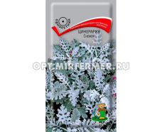 Цинерария Снежок 0,1г Одн 25см (Поиск)