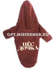 Толстовка р-р L спинка 29см LPK-0438/Lion