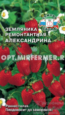 Земляника Александрина ремонтантная 0,04г Ранн (Седек)