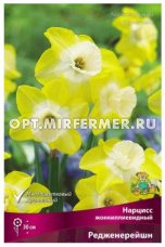 Нарцисс Жонкиллиевидный Редженерейшн 5шт ( лимонно-желтый, 12/14, h30см)