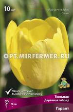 Тюльпан Дарвинов гибрид Гарант 10шт ( цветок желтый, 11/12, h50см)