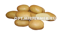 Картофель Крепыш Суперэлита Ранн 3кг 3/30 +-10%