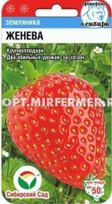 Земляника (клубника) Женева крупноплодная 10шт (Сиб сад)