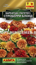 Бархатцы откл. Строберри блонд 5шт 20-25см (Аэлита)