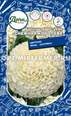 Бархатцы пр. Снежная королева 0,1г Одн смесь 40см БЕЛЫЙ (Дача тайм)