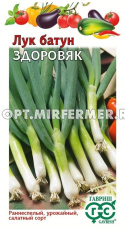 Лук батун Здоровяк Н22 0,5г Ранн (Гавриш)