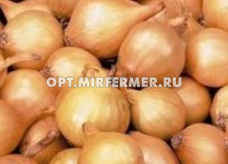 Лук-севок Свифт 13/21 ОЗИМЫЙ 20кг (+/- 200г) Чувашия