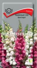 Антирринум (Львиный зев) Аристократ 0,1г Одн 90см (Поиск)
