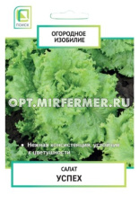 Салат Успех 1г (Поиск) Огородное изобилие