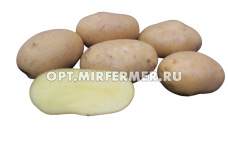 Картофель Краса Мещеры Суперэлита Ранн 3кг 3/30 +-10%