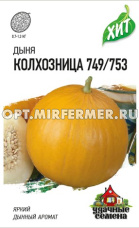 Дыня Колхозница 749/753 0,5г Ср (Гавриш) ХИТ х3 20/600