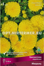 Хризантема корейская Мишель (желтый, 1шт)