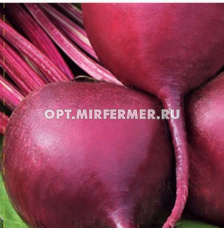 Свекла Бордо 1кг округлая Ср (Поиск)