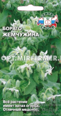 Бораго (огуречная трава) Жемчужина 0,5г (Седек)
