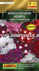 Вербена Кварц 7шт Одн смесь 25см (Аэлита)